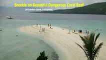 Snorkeling on Beautiful Dangerous Coral Reef, Sumilon Island, Oslob, Philippines