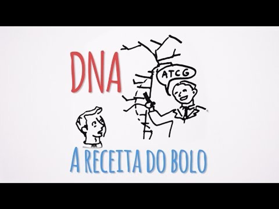 DNA: A receita do bolo