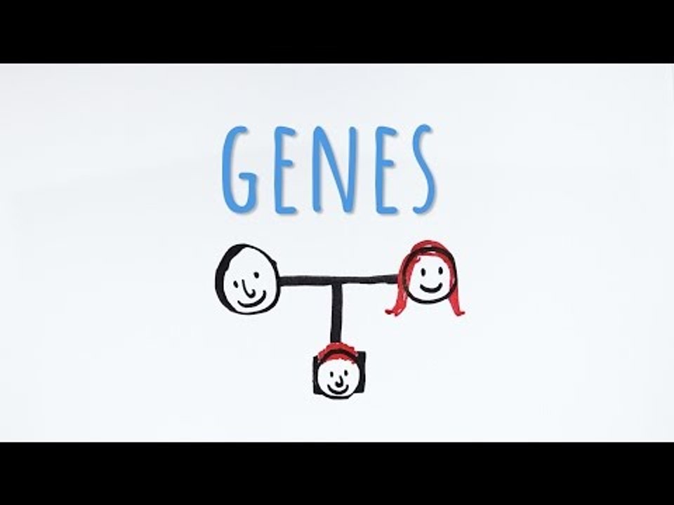 Genes
