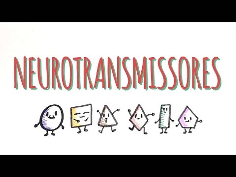 Neurotransmissores