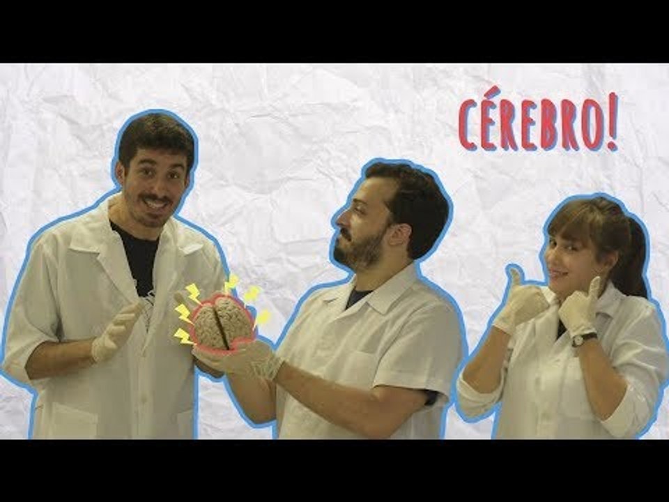 Você já viu um cérebro de verdade?