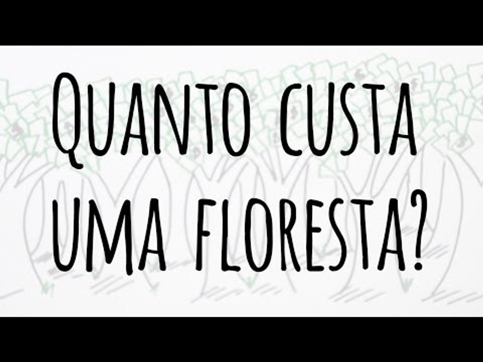 Quanto custa uma floresta?