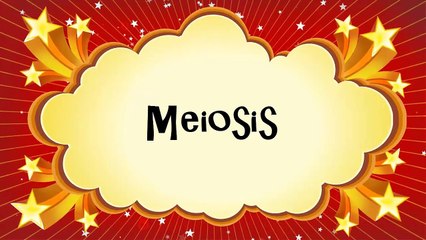 (OLD VIDEO) Meiosis: The Great Divide