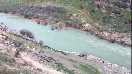 Batman'da kamyonet çaya düştü