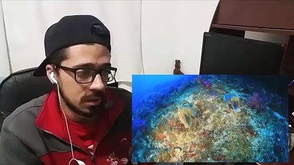 Amazing Thailand VS Wonderful Indonesia - Which are the BEST Video  | REACTION