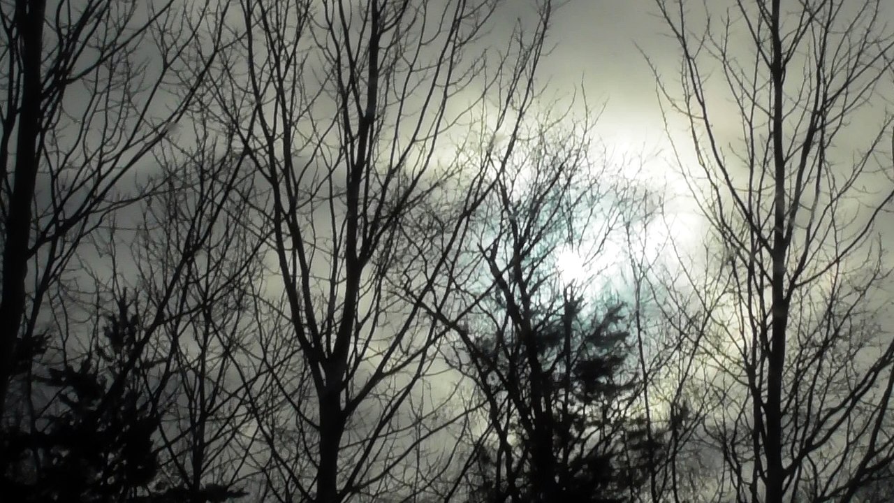 March 1 2018 DL12