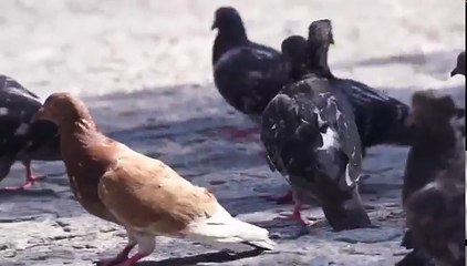 Auto insurance | میری شرمگاہ اتنی تنگ ہے کے میرا شوہر 10 بار ہمبستری کرتا ہے