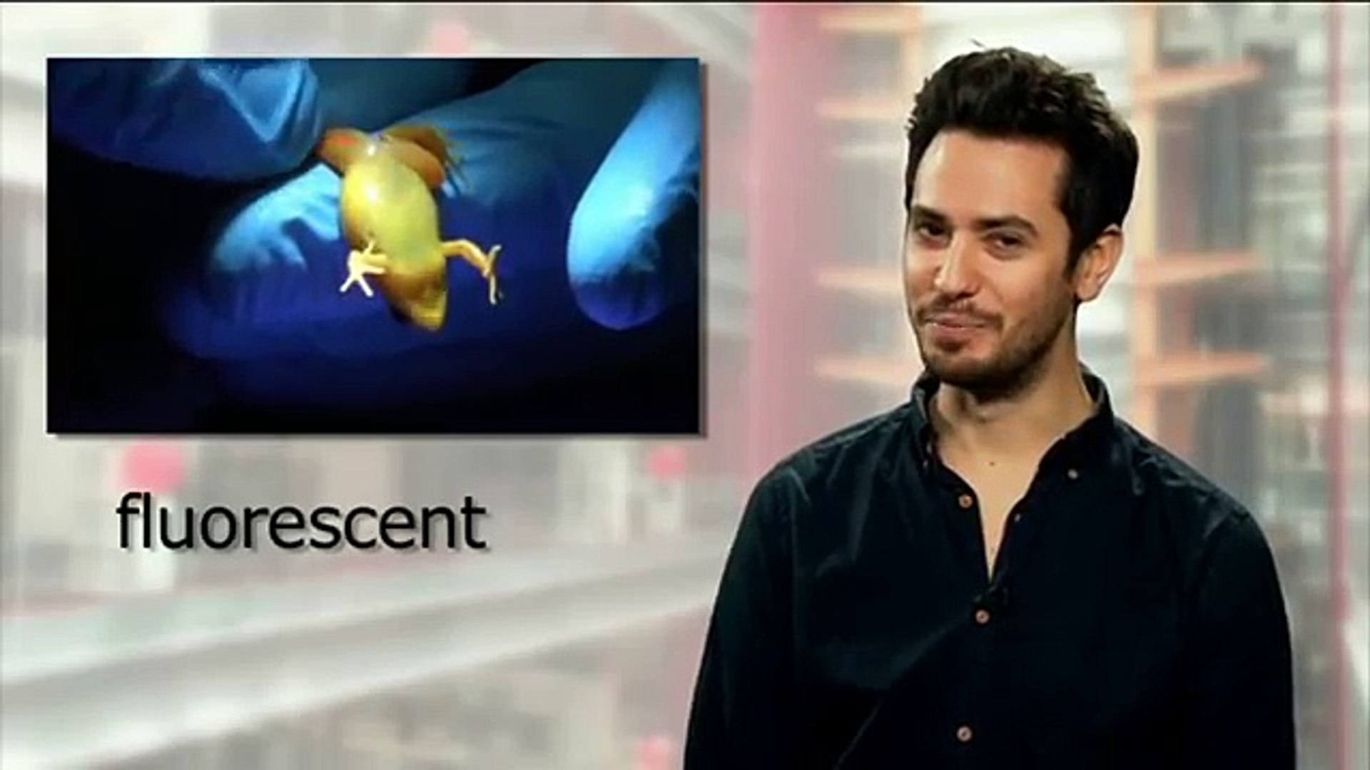 BBC Learning English: Video Words in the News: Glowing frogs (29th January 2014)
