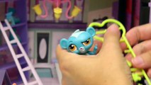 Littlest Pet Shop Style Set LPS Exclusive Toys Unboxing Setup and Play Part 2 - Kids Toys