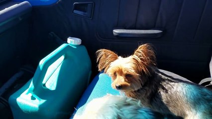 EXPLORING THE WILD WEST... WITH A GEO TRACKER 4x4