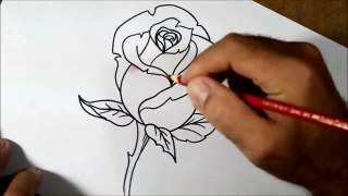 Como desenhar e colorir ROSA passo a passo