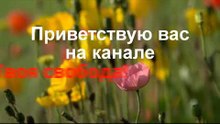 Музыка тела