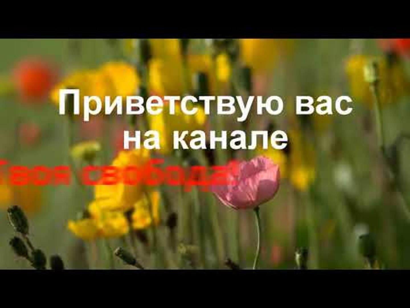 ⁣Музыка тела