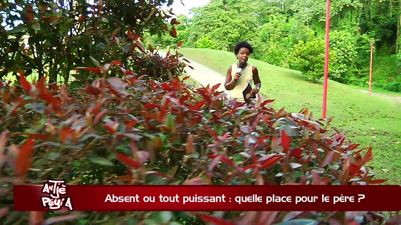 ATPA 02 03 18 ABSENT PUISSANT PLACE PERE SANDRINE ALIVON OK