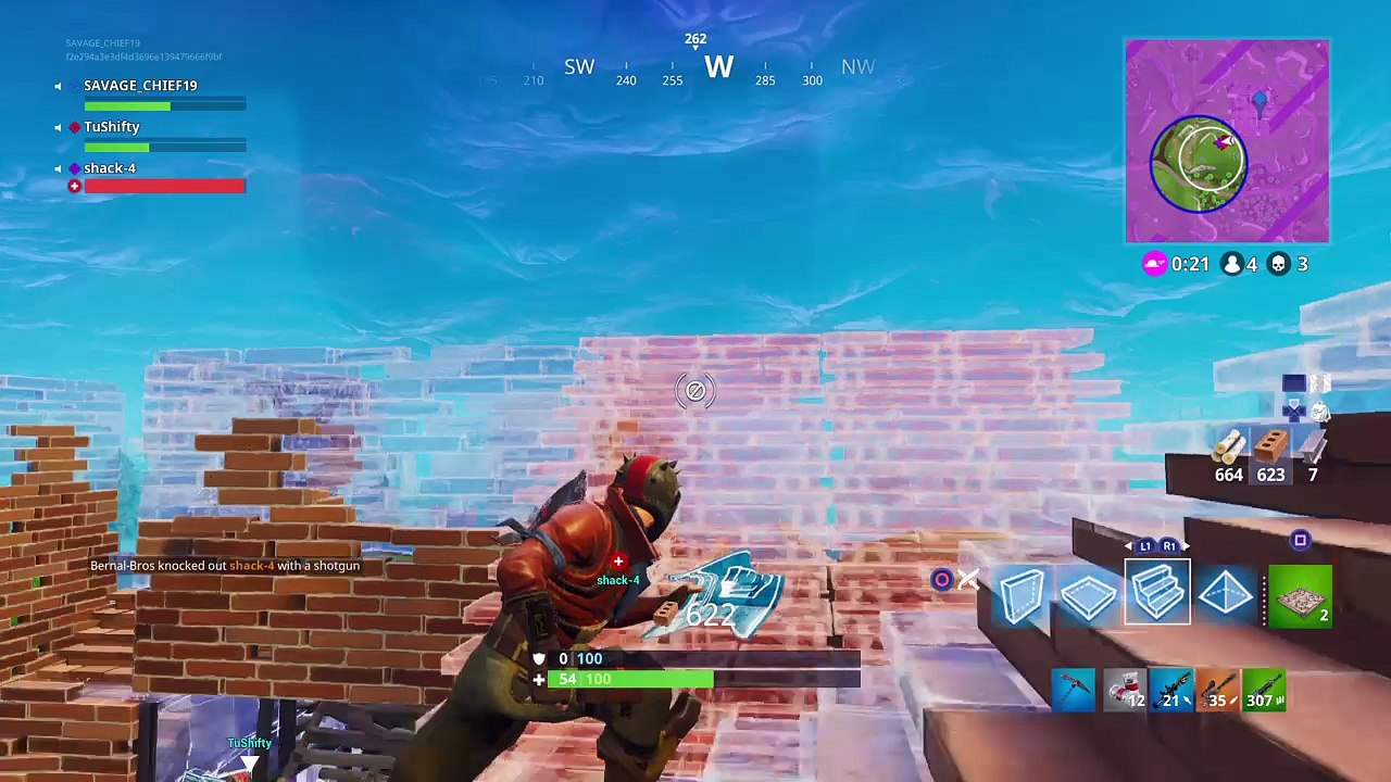 Dub
