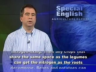 Friends with Benefits in the Plant World 🌱: How Symbiotic Relationships Boost Plant Survival