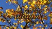 Learning English - AUTUMN - what is autumn? Mr Duncan in England