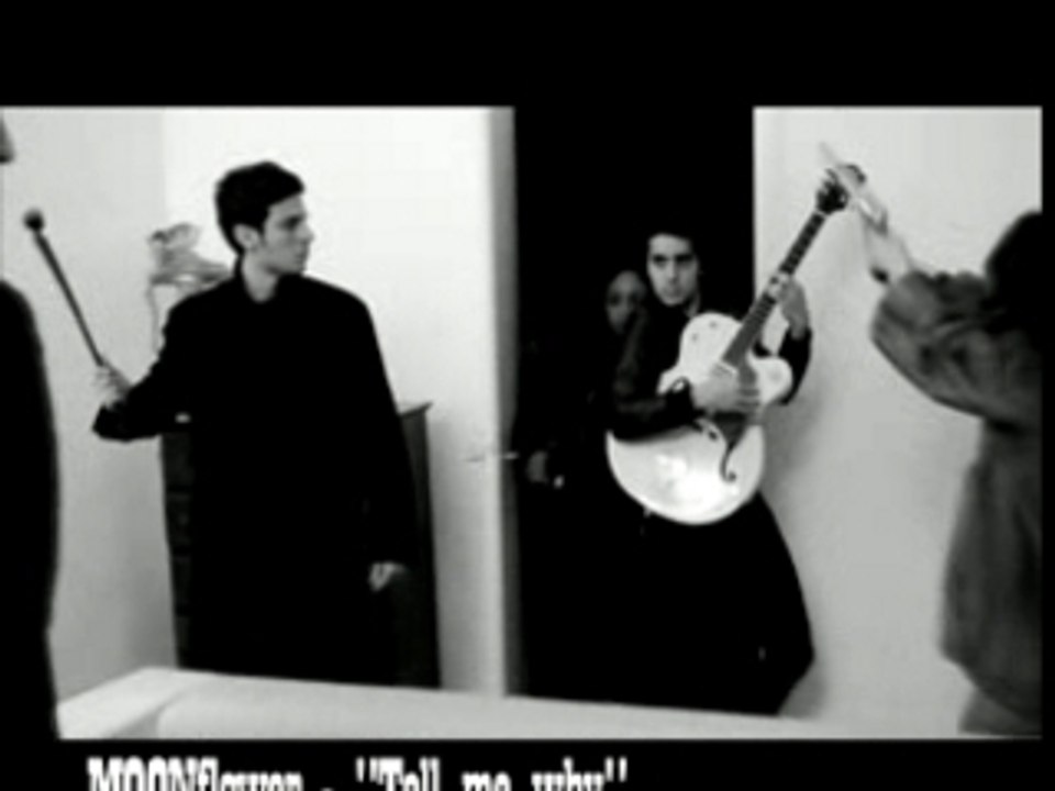 Moonflower vs Troubadoors
