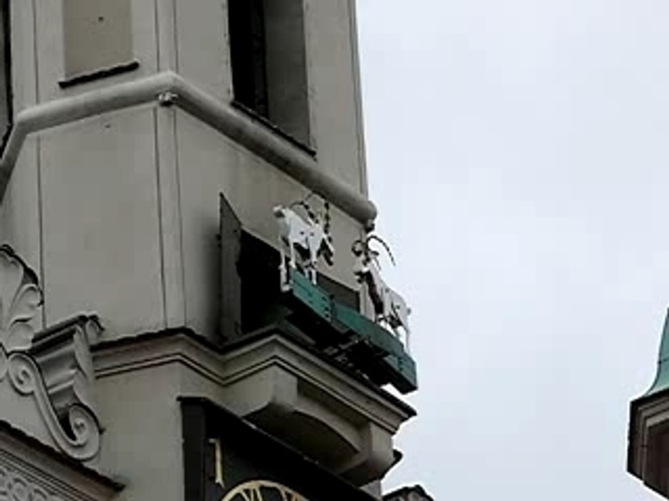 Poznan_Bouc_pologne