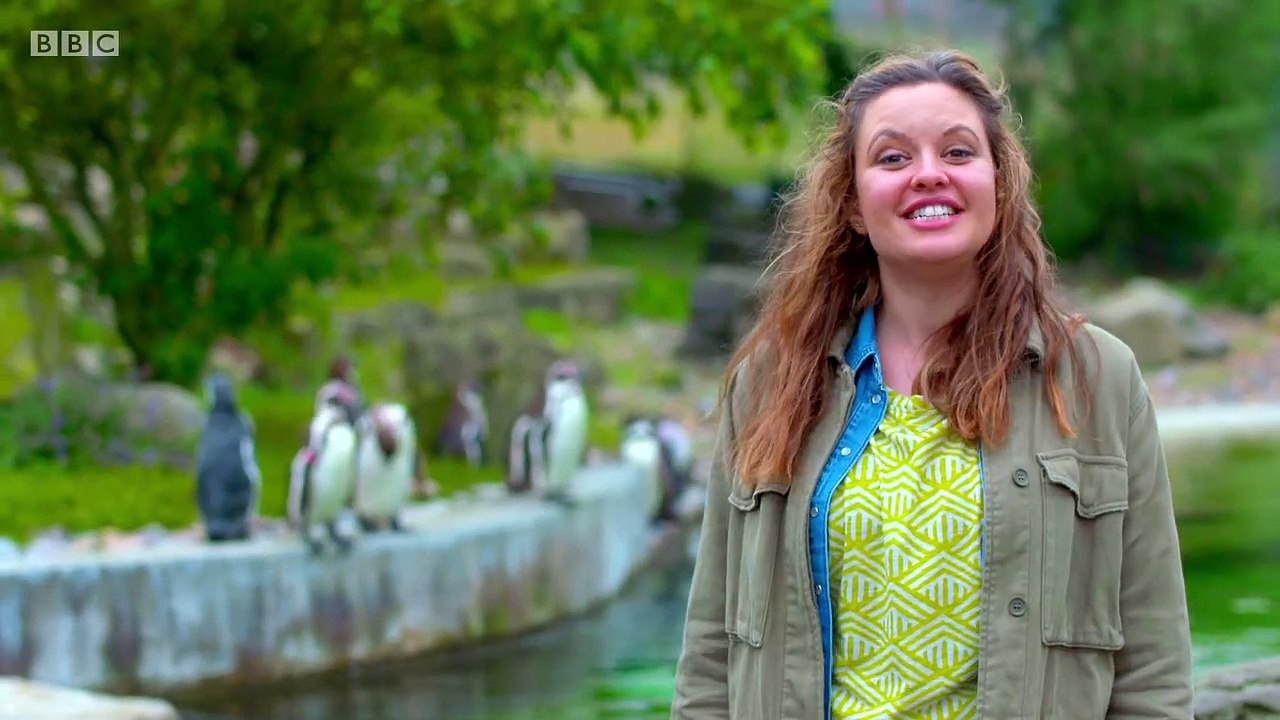 Ferne and Rorys Vet Tales.s01e09.Sheep Farm