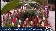 Flowers Exhibition in Lahore College for Women University