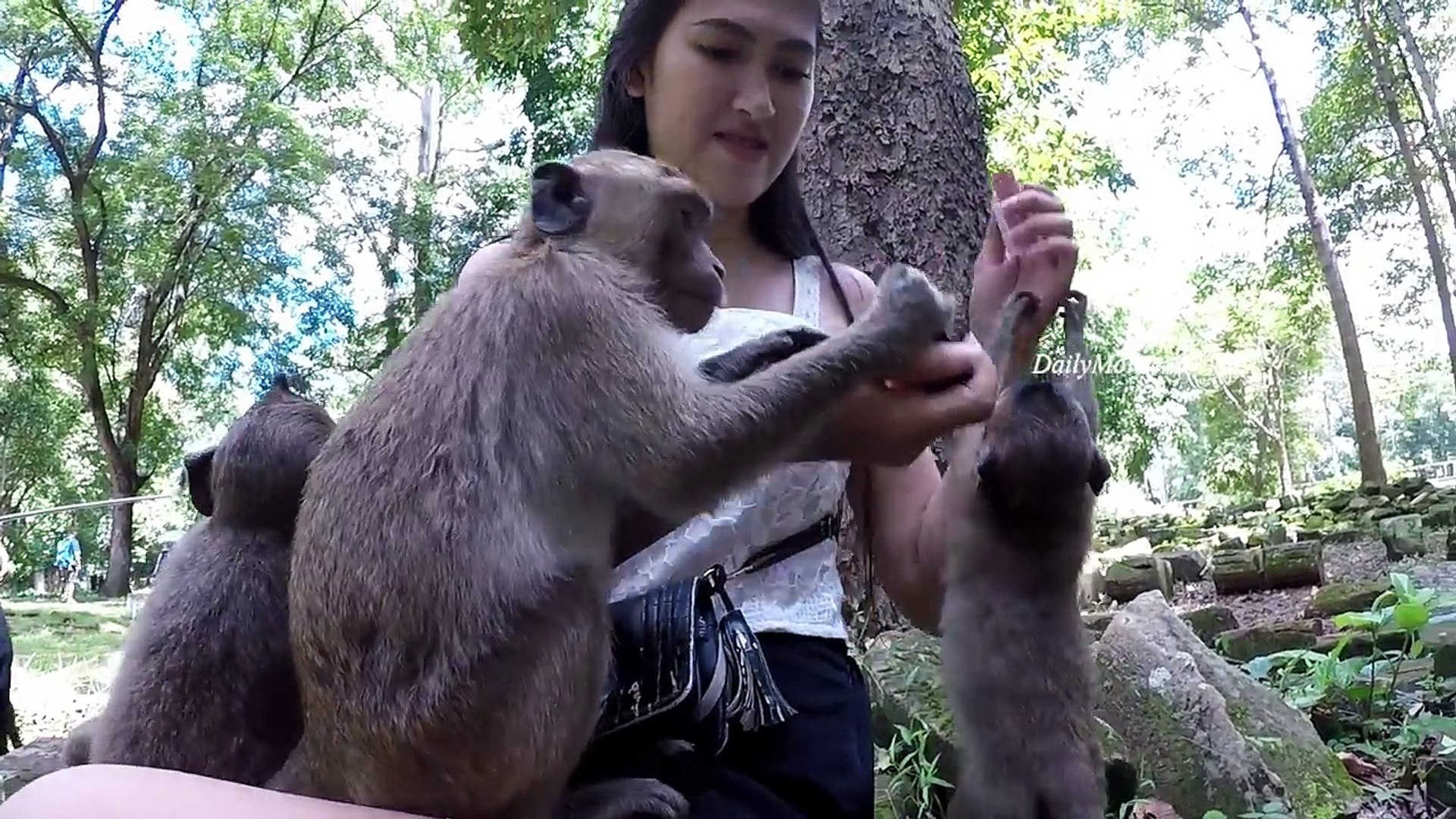 Monkey and girl funny video new arrivals