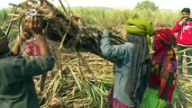 Rural India bears brunt of cash crunch | DW News