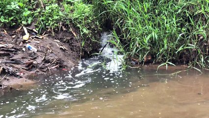Indonesia scrubbing the 'world's dirtiest river'