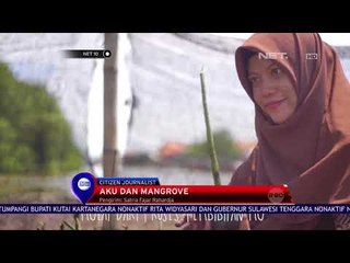 Video Kreatif   Aku & Mngrove  NET 10