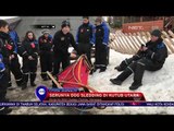 Serunya Dog Sledding Di Kutub Utara  NET 10