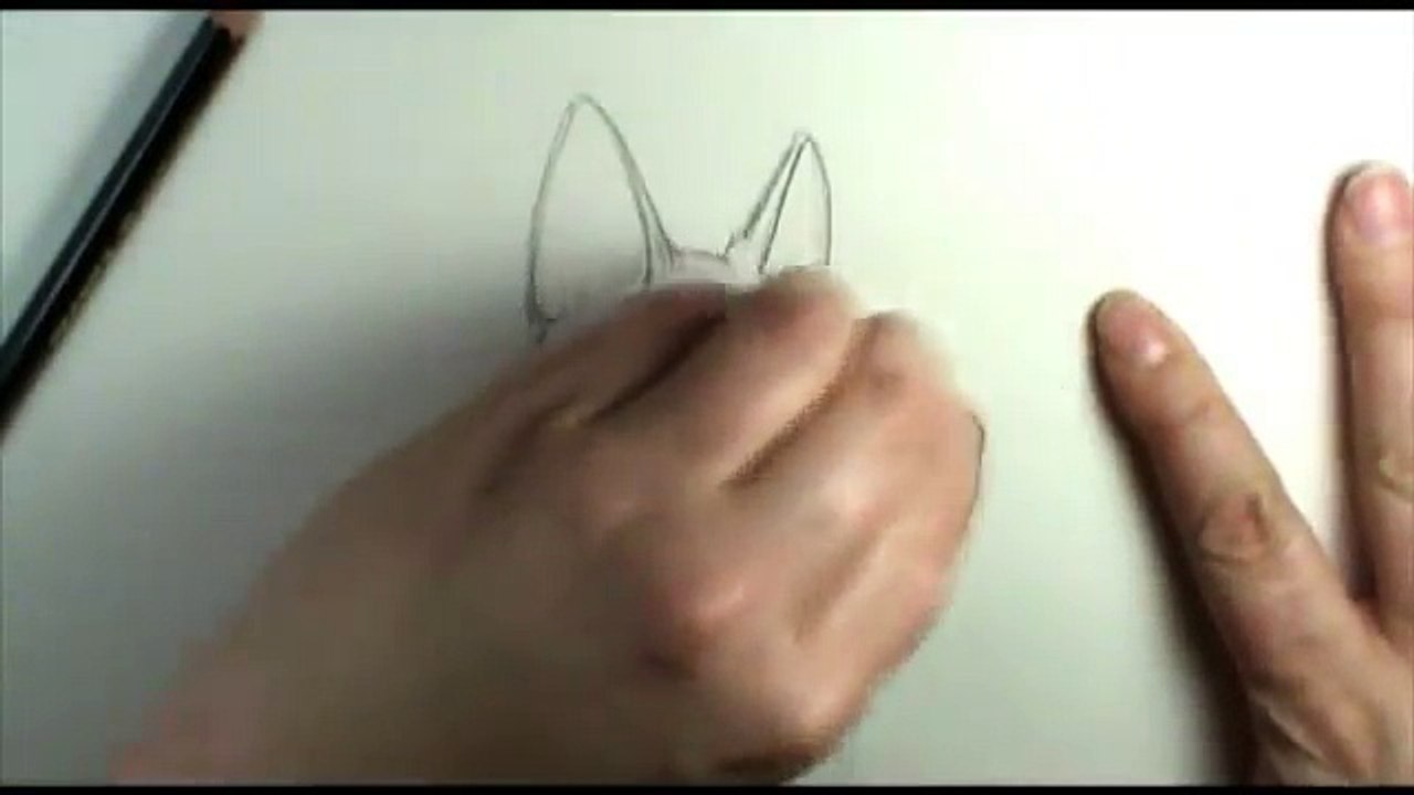 How to draw a Husky