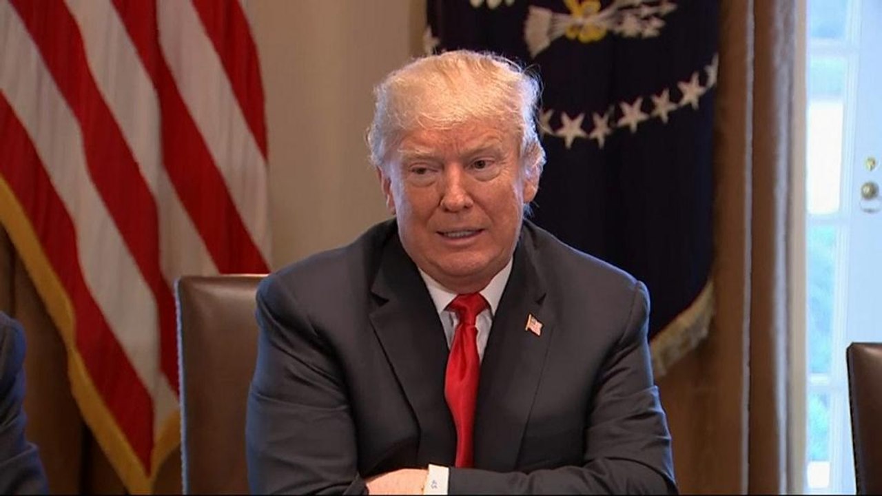 Trump will Strafzölle bei Stahl- und Aluimporten