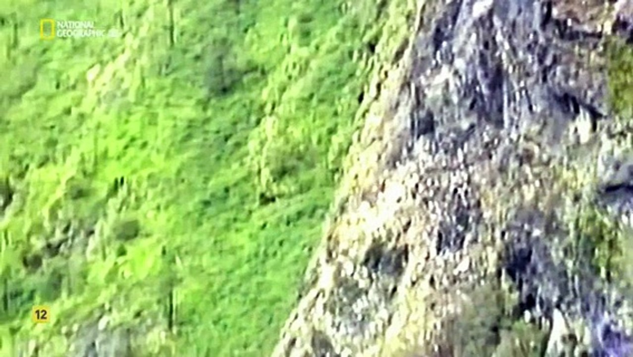 Mayday Catástrofes Aéreas: Vuelo 311 Thai Airways - El avión perdido