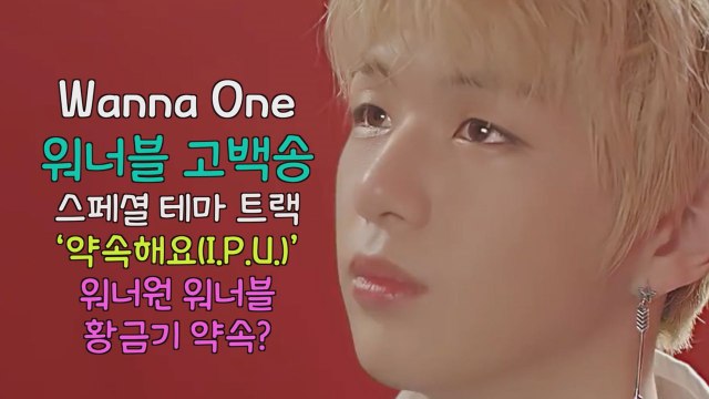 워너원, '약속해요(I.P.U.)' 강다니엘 고백 '워너원+워너블의 황금기?'