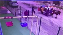 İzmir Mazgal ve Engelli Rampası Hırsızlığı Kamerada