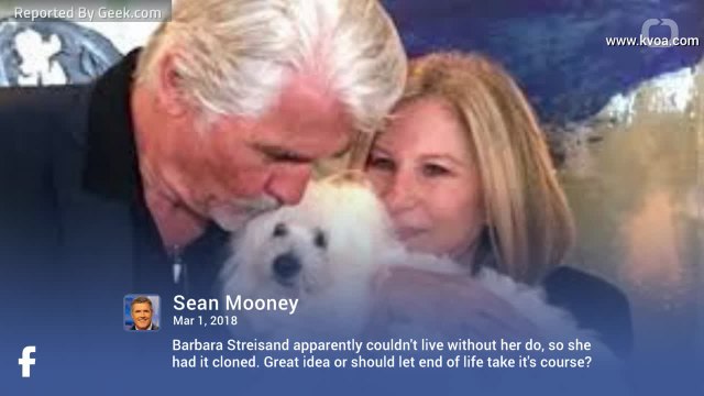 Barbra Streisand Cloned Her Late Dog To Make Two Puppies