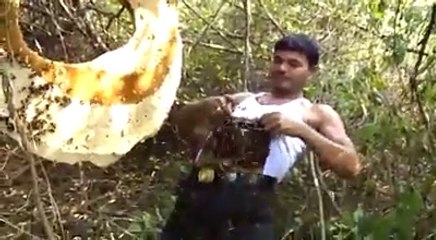 Cet homme se couvre d'abeilles