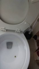 Son père trouve sa cachette de beuh et la fout aux chiottes !