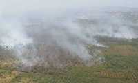 Riau Siaga Darurat Kebakaran Hutan dan Lahan