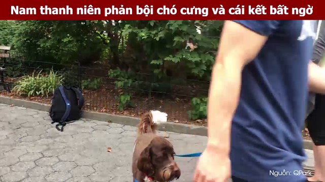 Nam thanh niên phản bội chó cưng và cái kết bất ngờ