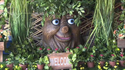 هذا الصباح- "روضة المايدة" محمية طبيعية جديدة بقطر