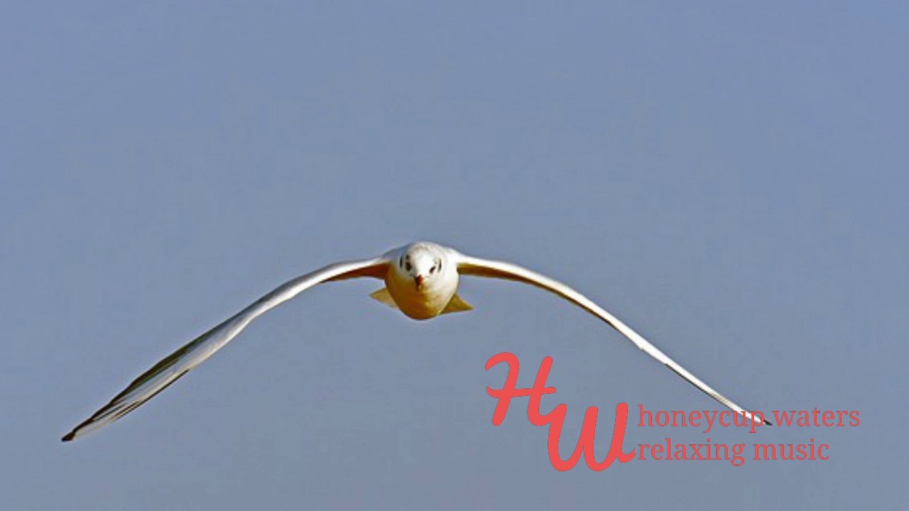 Happy Sax Background Music, Happy Sax Music Instrumental Honey 109