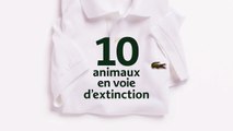 La marque Lacoste remplace les célèbres crocodiles par des animaux menacés sur ses polos - VIDEO