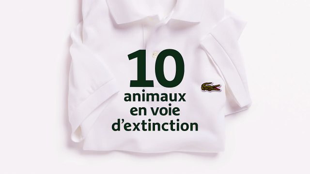 La marque Lacoste remplace les célèbres crocodiles par des animaux menacés sur ses polos - VIDEO