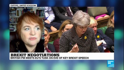 BREXIT - Oxford''s Kalypso Nicolaïdis analysis