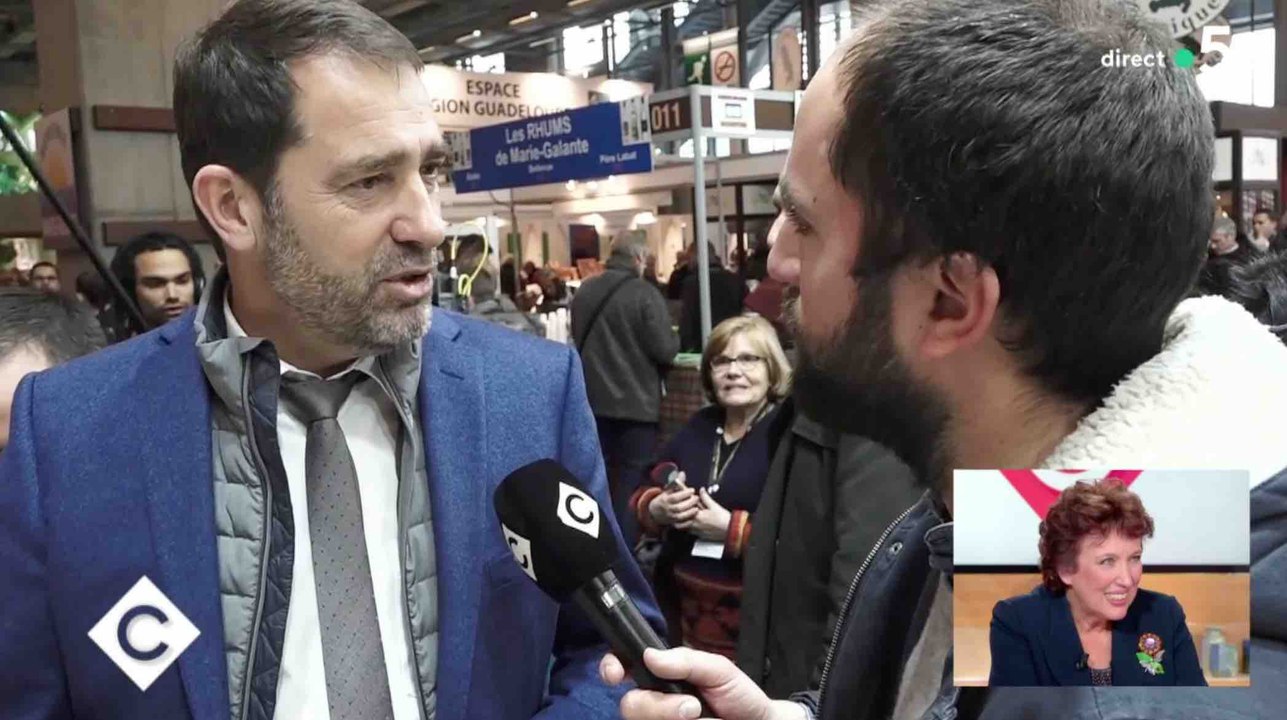 Christophe Castaner avoue avoir fait du black - ZAPPING ACTU DU 02/03/2018