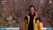 Pyrénées : Un chien d'avalanche retrouve un enfant perdu dans les bois (vidéo)