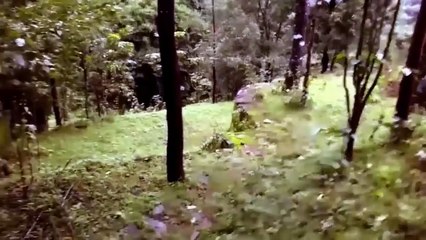 Mysterious Alien Like Creature Caught On Tape On A Deserted Road!!