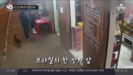 한 입 밖에 못 먹었는데…