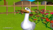 Five Little Ducks went out one day   3D Animation English Nursery Rhymes for kids